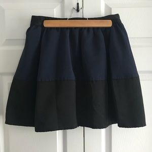 Express Dressy Mini Skirt